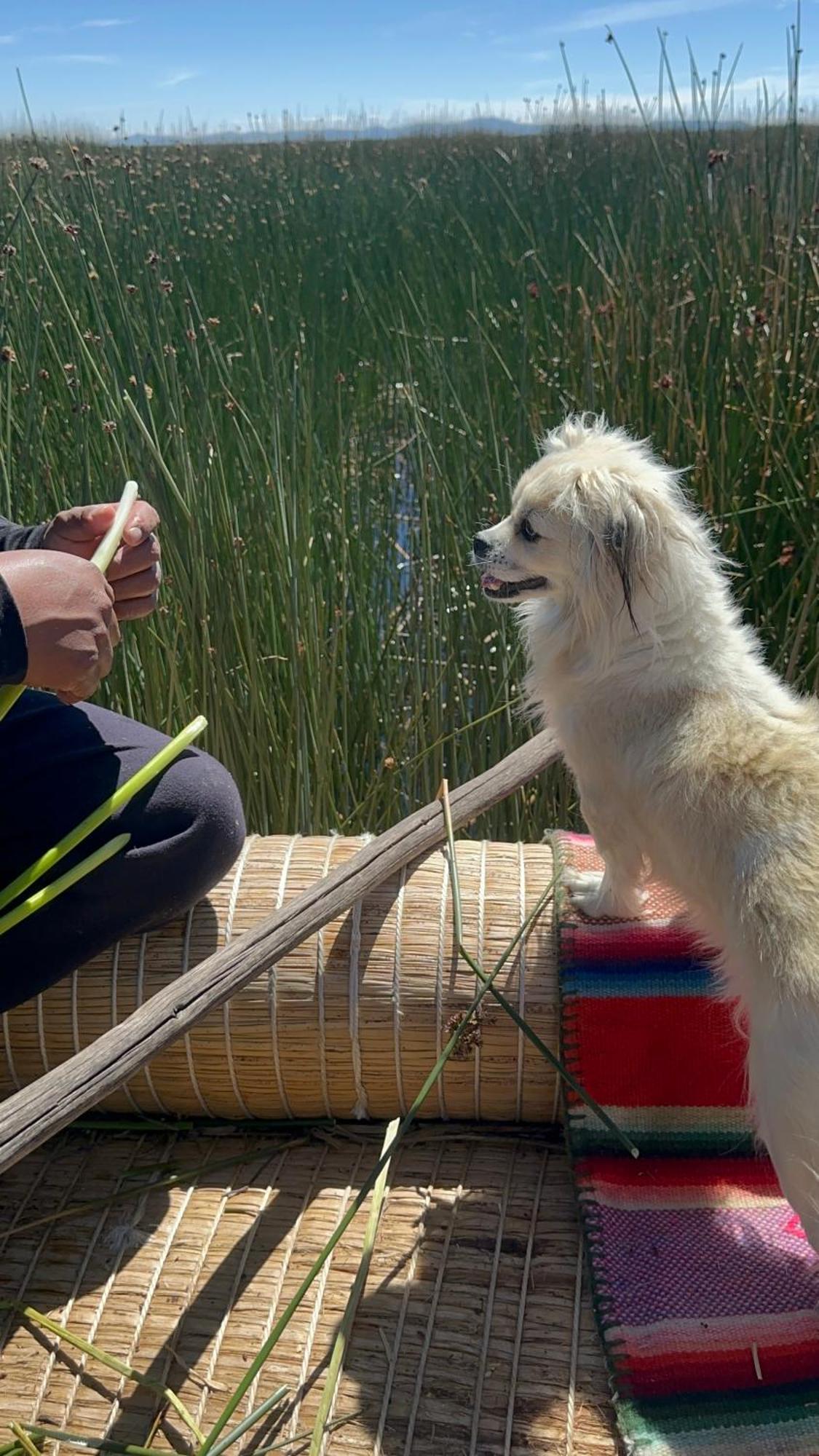 Uros Waliski Lodge 普诺 外观 照片